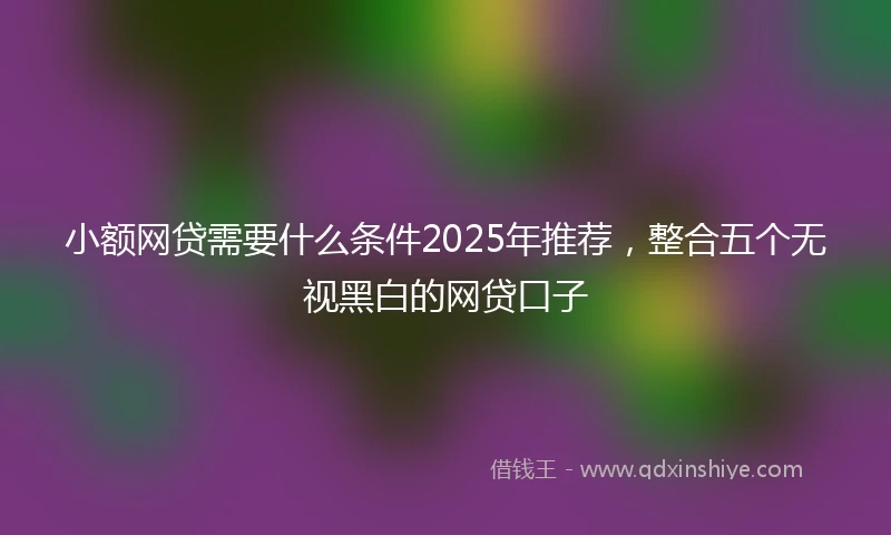 小额网贷需要什么条件2025年推荐，整合五个无视黑白的网贷口子