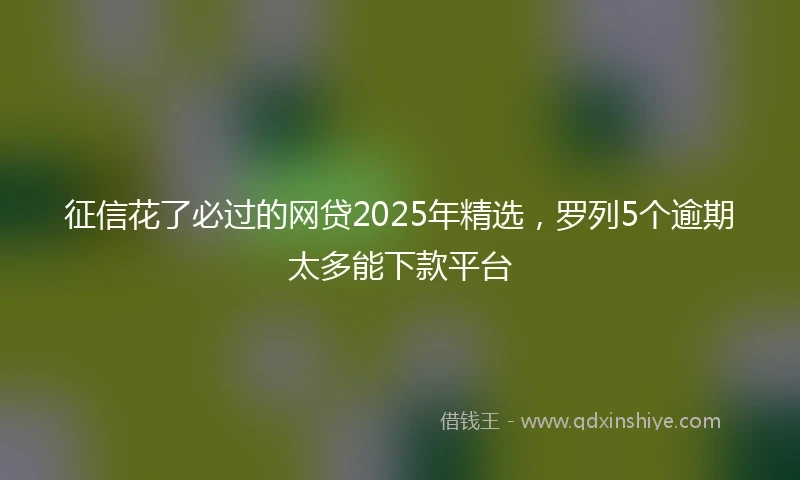 征信花了必过的网贷2025年精选，罗列5个逾期太多能下款平台