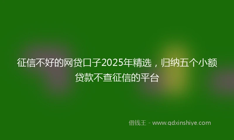 征信不好的网贷口子2025年精选，归纳五个小额贷款不查征信的平台