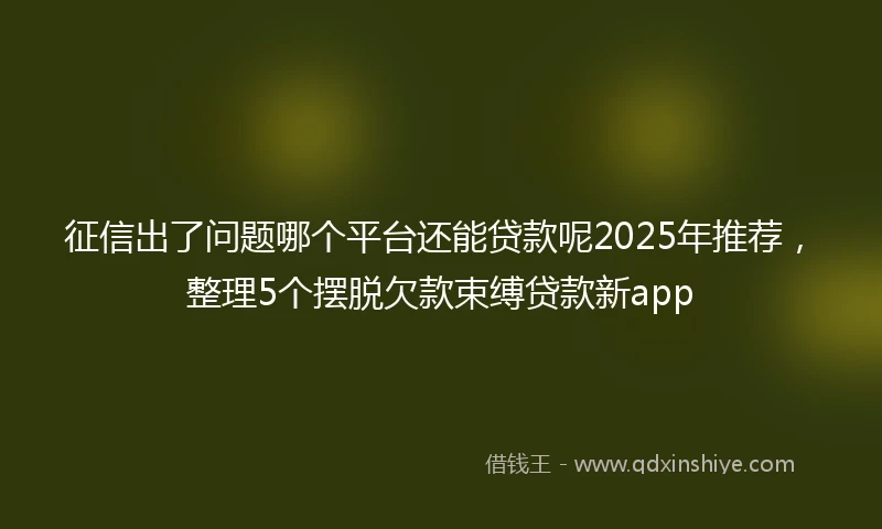 征信出了问题哪个平台还能贷款呢2025年推荐,整理5个摆脱欠款束缚贷款新app