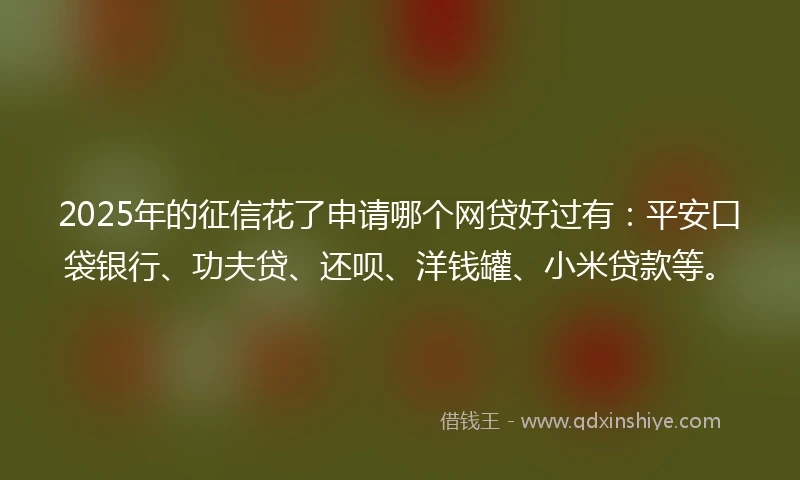 2025年的征信花了申请哪个网贷好过有：平安口袋银行、功夫贷、还呗、洋钱罐、小米贷款等。