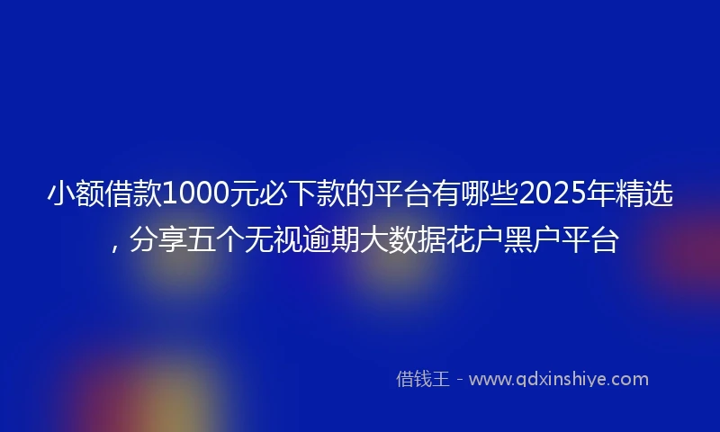 小额借款1000元必下款的平台有哪些2025年精选，分享五个无视逾期大数据花户黑户平台