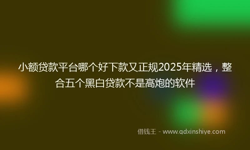 小额贷款平台哪个好下款又正规2025年精选，整合五个黑白贷款不是高炮的软件