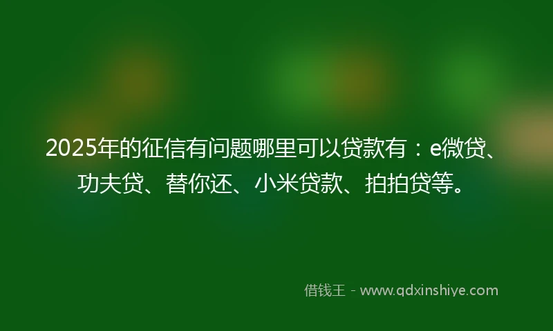 2025年的征信有问题哪里可以贷款有：e微贷、功夫贷、替你还、小米贷款、拍拍贷等。