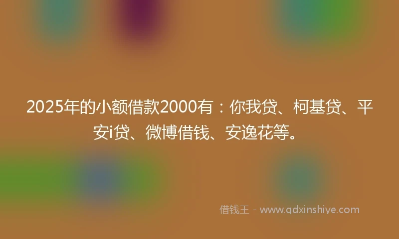 2025年的小额借款2000有：你我贷、柯基贷、平安i贷、微博借钱、安逸花等。