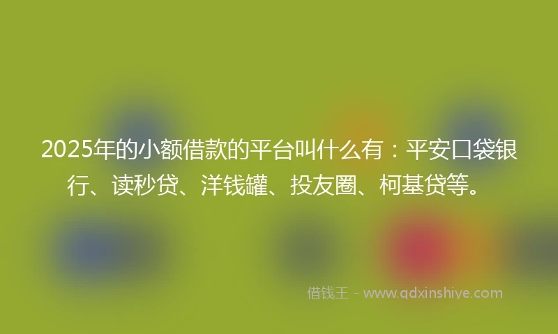 2025年的小额借款的平台叫什么有：平安口袋银行、读秒贷、洋钱罐、投友圈、柯基贷等。