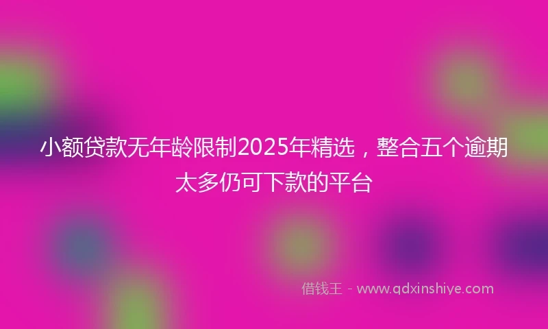 小额贷款无年龄限制2025年精选，整合五个逾期太多仍可下款的平台