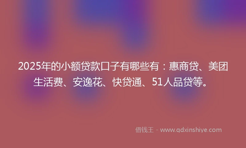 2025年的小额贷款口子有哪些有：惠商贷、美团生活费、安逸花、快贷通、51人品贷等。