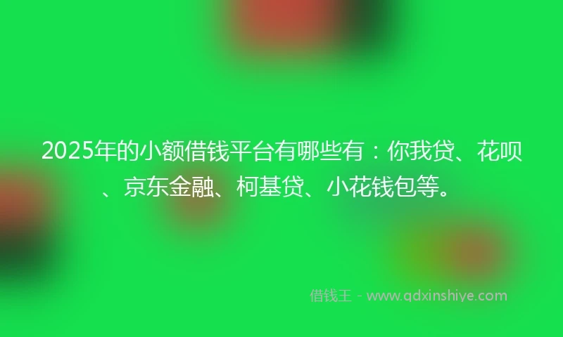 2025年的小额借钱平台有哪些有：你我贷、花呗、京东金融、柯基贷、小花钱包等。