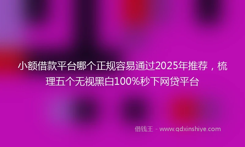 小额借款平台哪个正规容易通过2025年推荐，梳理五个无视黑白100%秒下网贷平台