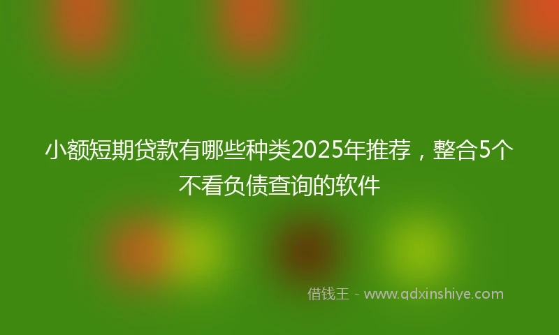 小额短期贷款有哪些种类2025年推荐，整合5个不看负债查询的软件