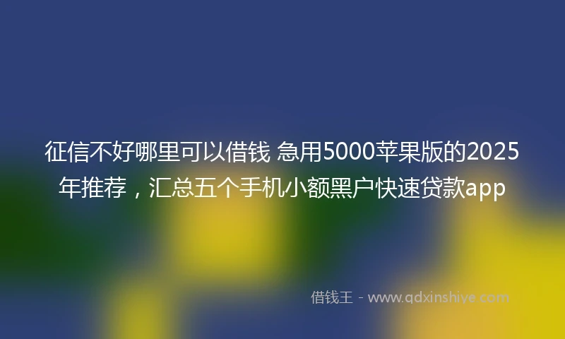 征信不好哪里可以借钱 急用5000苹果版的2025年推荐，汇总五个手机小额黑户快速贷款app