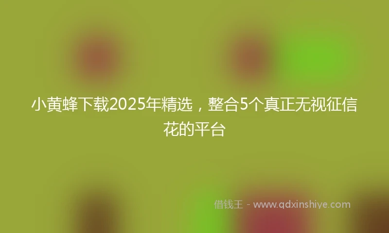 小黄蜂下载2025年精选，整合5个真正无视征信花的平台