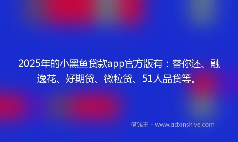 2025年的小黑鱼贷款app官方版有：替你还、融逸花、好期贷、微粒贷、51人品贷等。