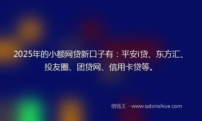 2025年的小额网贷新口子有：平安i贷、东方汇、投友圈、团贷网、信用卡贷等。