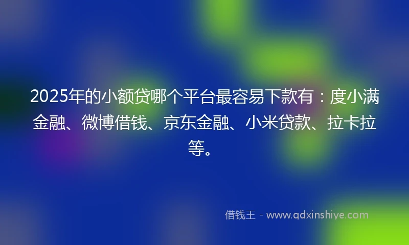2025年的小额贷哪个平台最容易下款有：度小满金融、微博借钱、京东金融、小米贷款、拉卡拉等。