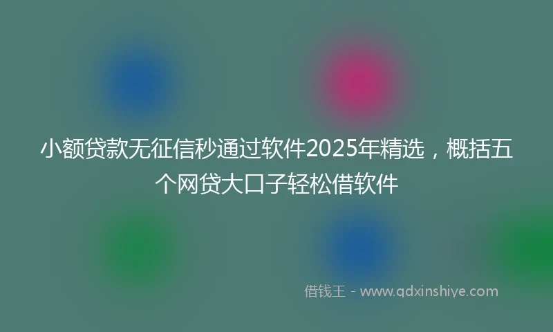 小额贷款无征信秒通过软件2025年精选，概括五个网贷大口子轻松借软件