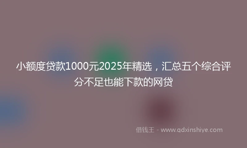 小额度贷款1000元2025年精选，汇总五个综合评分不足也能下款的网贷