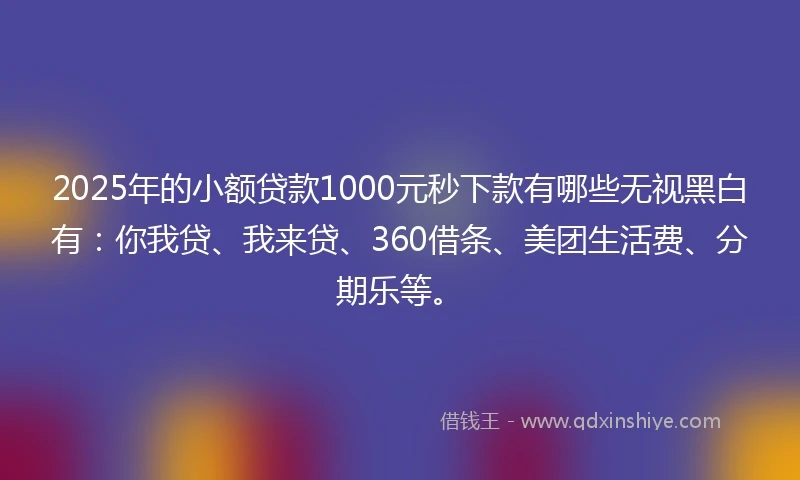 2025年的小额贷款1000元秒下款有哪些无视黑白有：你我贷、我来贷、360借条、美团生活费、分期乐等。