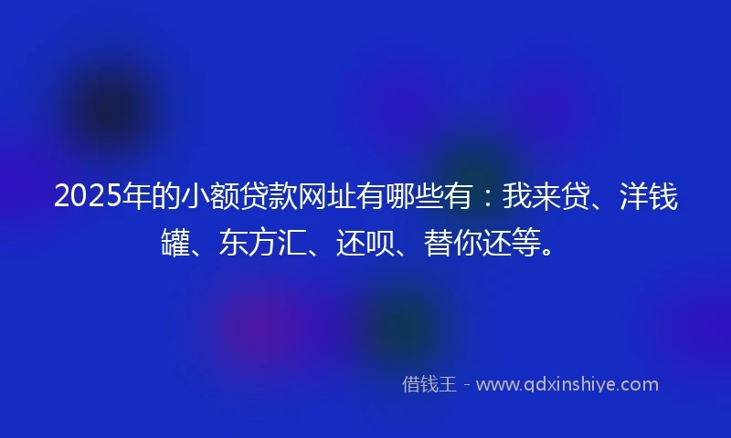 2025年的小额贷款网址有哪些有：我来贷、洋钱罐、东方汇、还呗、替你还等。