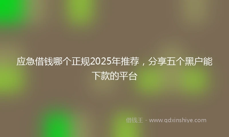 应急借钱哪个正规2025年推荐，分享五个黑户能下款的平台