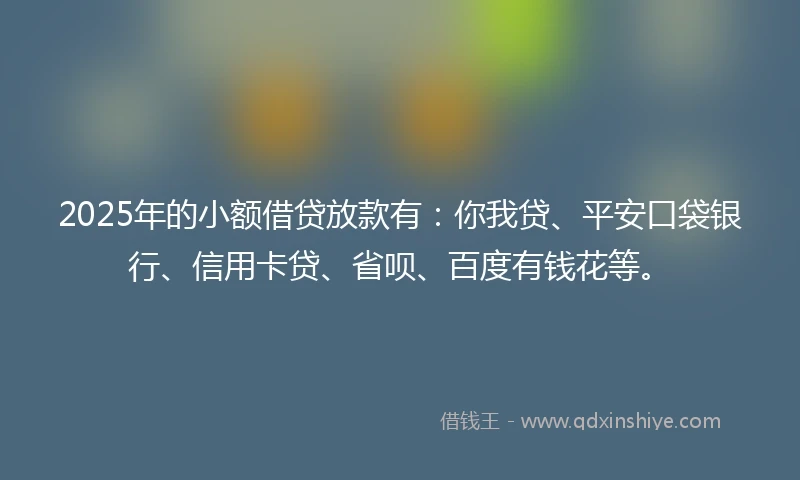 2025年的小额借贷放款有：你我贷、平安口袋银行、信用卡贷、省呗、百度有钱花等。