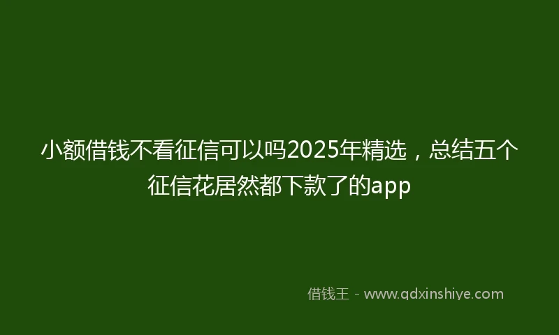 小额借钱不看征信可以吗2025年精选，总结五个征信花居然都下款了的app