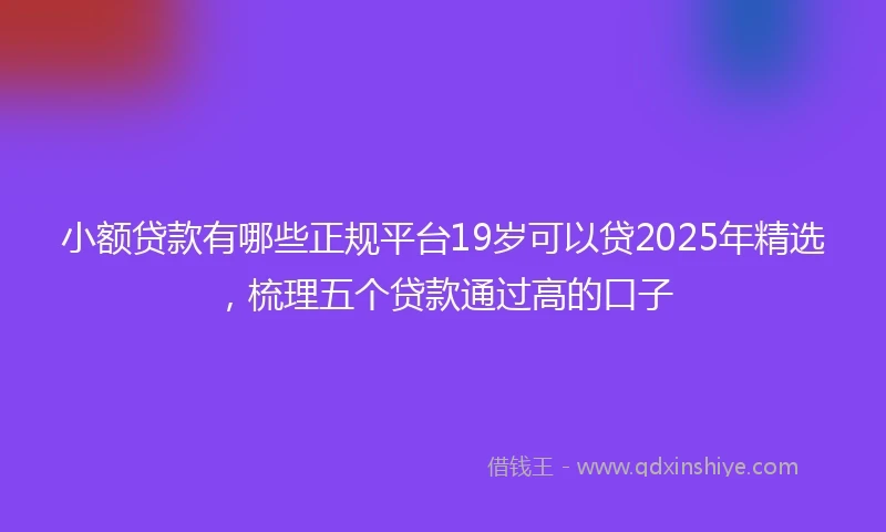 小额贷款有哪些正规平台19岁可以贷2025年精选，梳理五个贷款通过高的口子