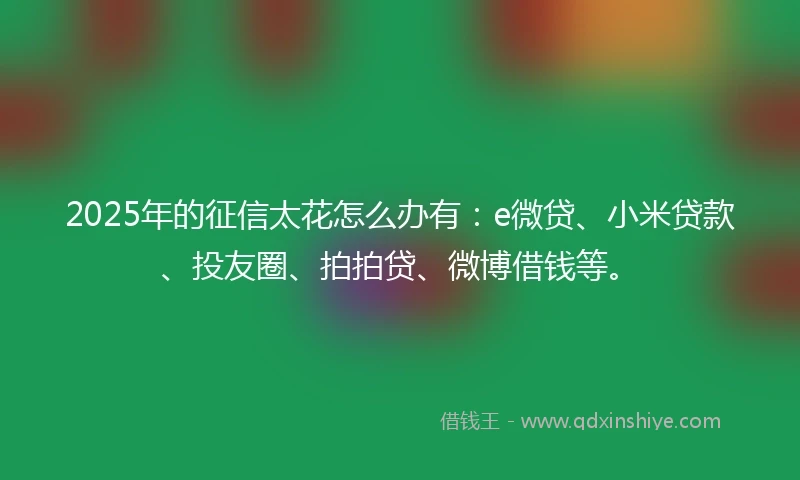 2025年的征信太花怎么办有：e微贷、小米贷款、投友圈、拍拍贷、微博借钱等。