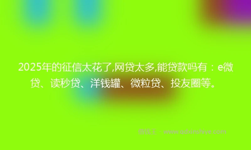2025年的征信太花了,网贷太多,能贷款吗有：e微贷、读秒贷、洋钱罐、微粒贷、投友圈等。