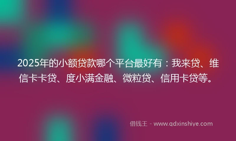 2025年的小额贷款哪个平台最好有：我来贷、维信卡卡贷、度小满金融、微粒贷、信用卡贷等。