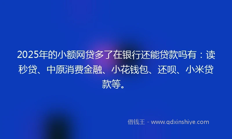 2025年的小额网贷多了在银行还能贷款吗有：读秒贷、中原消费金融、小花钱包、还呗、小米贷款等。