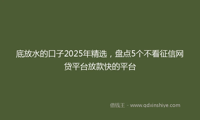 底放水的口子2025年精选，盘点5个不看征信网贷平台放款快的平台