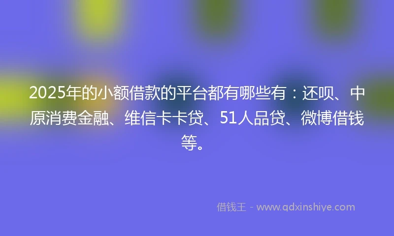 2025年的小额借款的平台都有哪些有：还呗、中原消费金融、维信卡卡贷、51人品贷、微博借钱等。