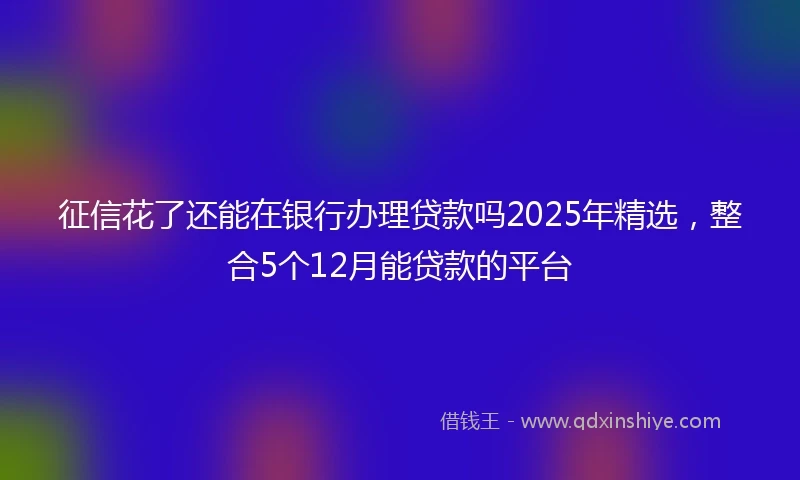 征信花了还能在银行办理贷款吗2025年精选,整合5个12月能贷款的平台