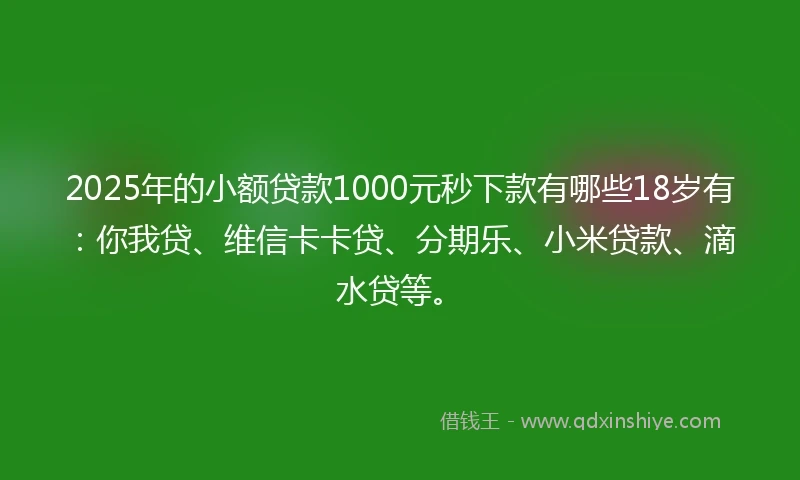 2025年的小额贷款1000元秒下款有哪些18岁有：你我贷、维信卡卡贷、分期乐、小米贷款、滴水贷等。