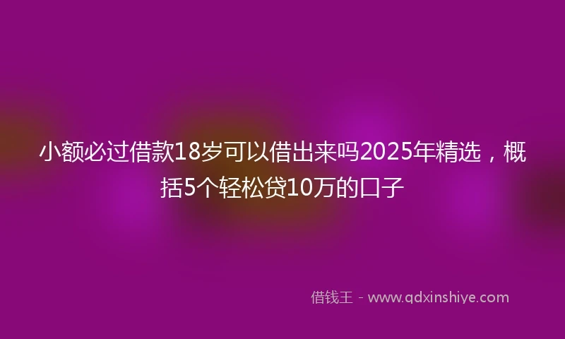 小额必过借款18岁可以借出来吗2025年精选，概括5个轻松贷10万的口子