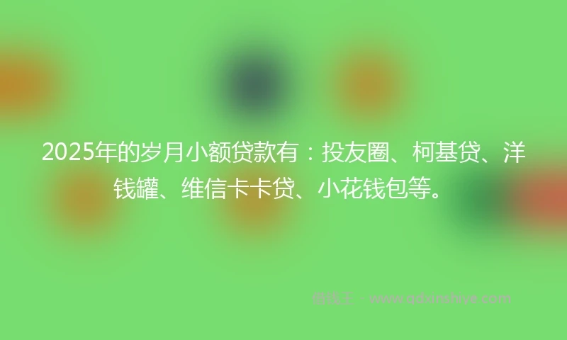 2025年的岁月小额贷款有：投友圈、柯基贷、洋钱罐、维信卡卡贷、小花钱包等。