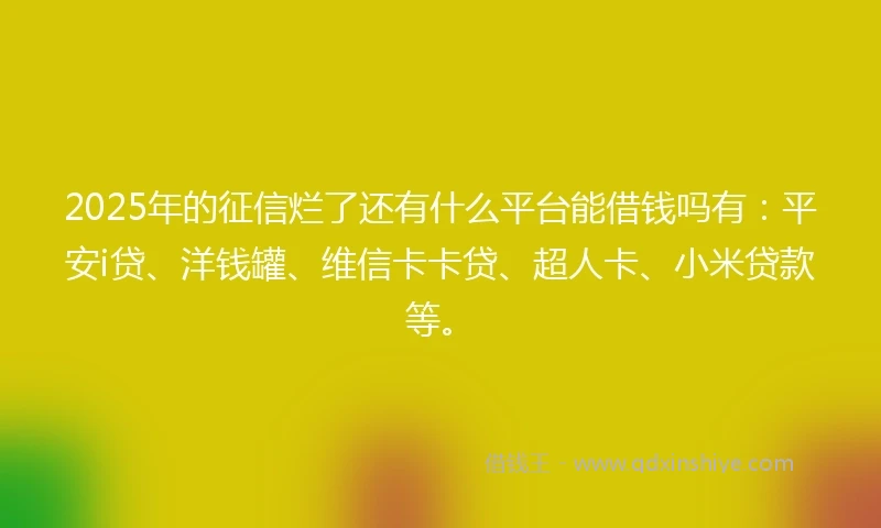 2025年的征信烂了还有什么平台能借钱吗有:平安i贷、洋钱罐、维信卡卡贷、超人卡、小米贷款等。