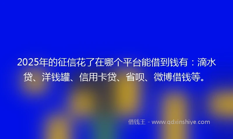 2025年的征信花了在哪个平台能借到钱有:滴水贷、洋钱罐、信用卡贷、省呗、微博借钱等。