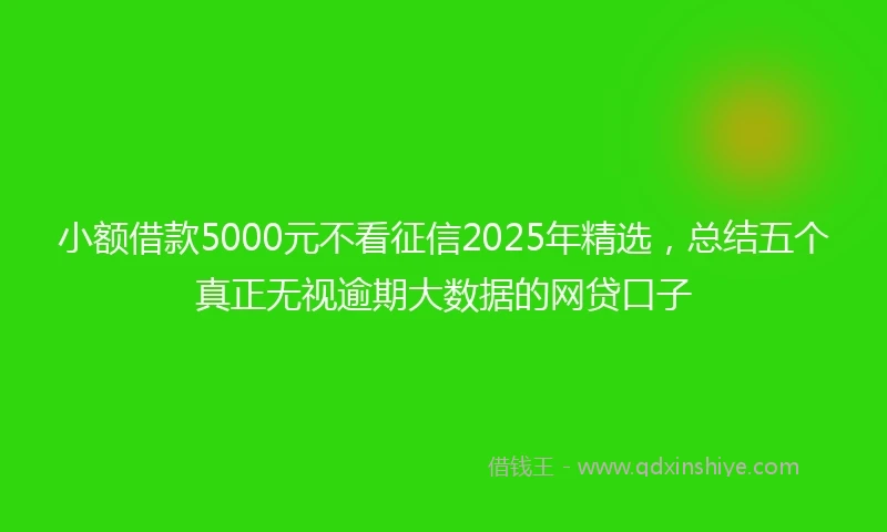小额借款5000元不看征信2025年精选，总结五个真正无视逾期大数据的网贷口子