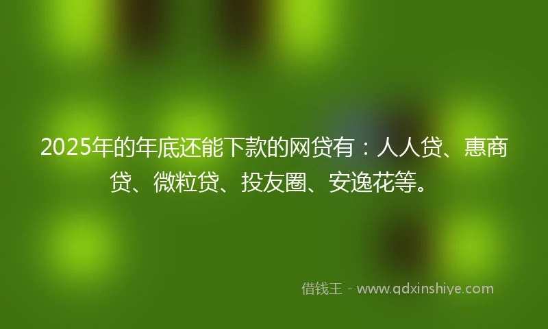 2025年的年底还能下款的网贷有：人人贷、惠商贷、微粒贷、投友圈、安逸花等。