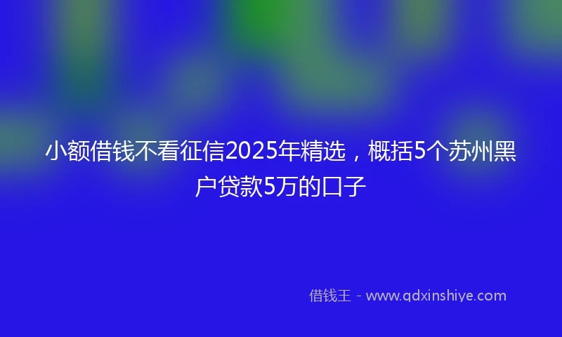 小额借钱不看征信2025年精选，概括5个苏州黑户贷款5万的口子