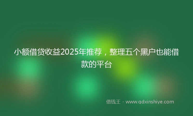 小额借贷收益2025年推荐，整理五个黑户也能借款的平台