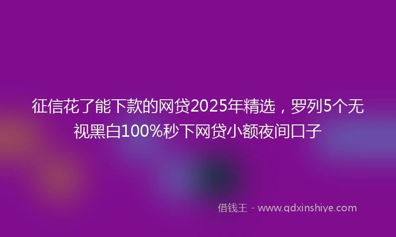 征信花了能下款的网贷2025年精选，罗列5个无视黑白100%秒下网贷小额夜间口子