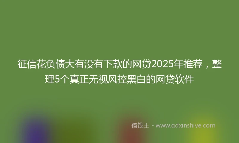 征信花负债大有没有下款的网贷2025年推荐，整理5个真正无视风控黑白的网贷软件