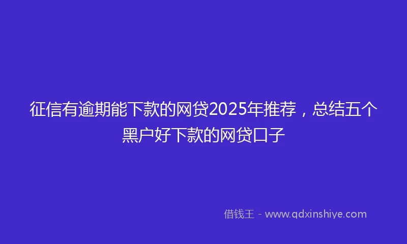 征信有逾期能下款的网贷2025年推荐，总结五个黑户好下款的网贷口子
