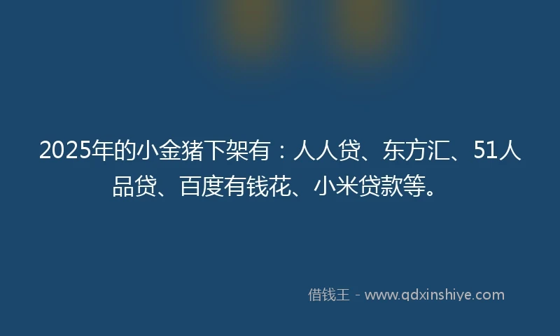 2025年的小金猪下架有：人人贷、东方汇、51人品贷、百度有钱花、小米贷款等。