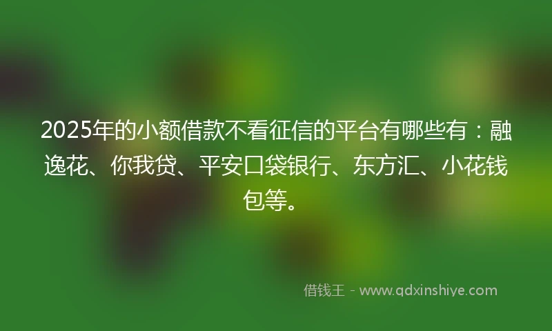 2025年的小额借款不看征信的平台有哪些有：融逸花、你我贷、平安口袋银行、东方汇、小花钱包等。
