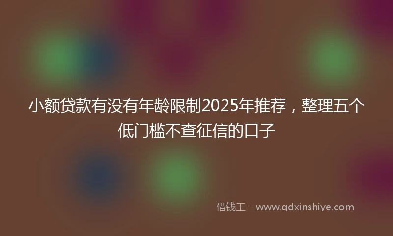 小额贷款有没有年龄限制2025年推荐，整理五个低门槛不查征信的口子